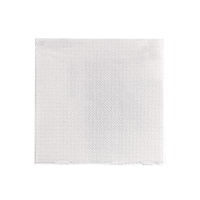 White paper napkin 2 ply