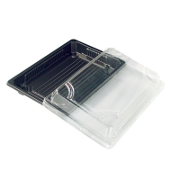 Black PET sushi tray with clear lid  250ml 168x118mm H37mm