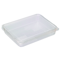 Flat rectangular PLA clear box with hinged lid
